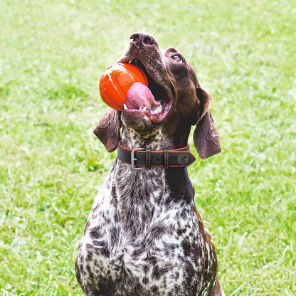 Riparo Adjustable Leather Dog Collar - Heavy Duty Wide Dog Collar for Small, Medium, Large and Extra Large Dogs with Dog Tag Holder (XXL: 2” Wide for 24”-29” Neck, Black/Red Thread)